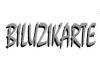 laurent biluzikarte photographe a anglet (photographe)