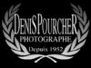 pourcher denis | photographe a clermont-ferrand (photographe)