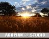 agopian studio a maurs (photographe)