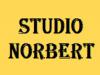 studio norbert a pessac (photographe)